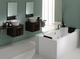 衛(wèi)浴行業(yè)市場呈現三大熱點 走向理性 水暖潔具